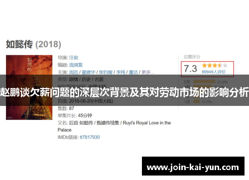 赵鹏谈欠薪问题的深层次背景及其对劳动市场的影响分析